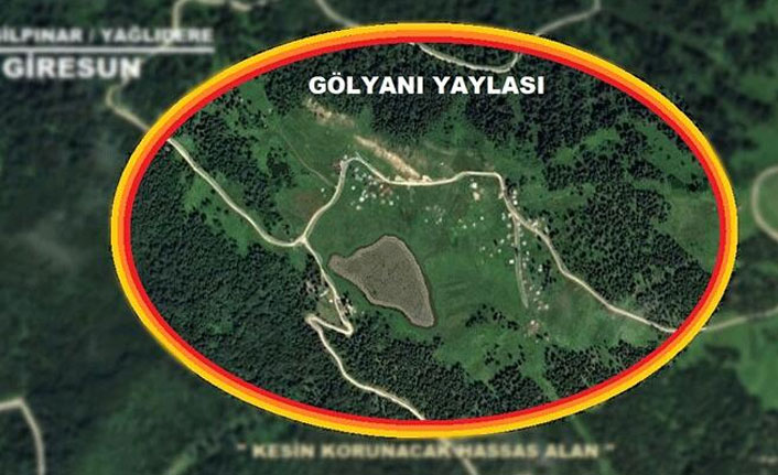 Giresun'daki Gölyanı Yaylası'na kesin koruma kararı