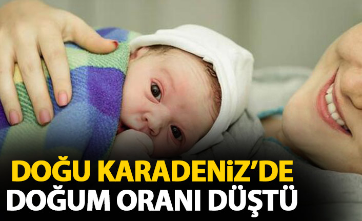 Doğu Karadeniz'de doğum oranı düştü