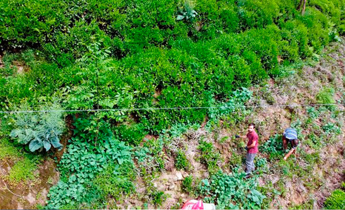 Rizeli muhtar drone ile maske dağıtıyor