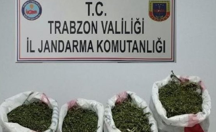 Trabzon'da jandarmadan uyuşturucu baskını