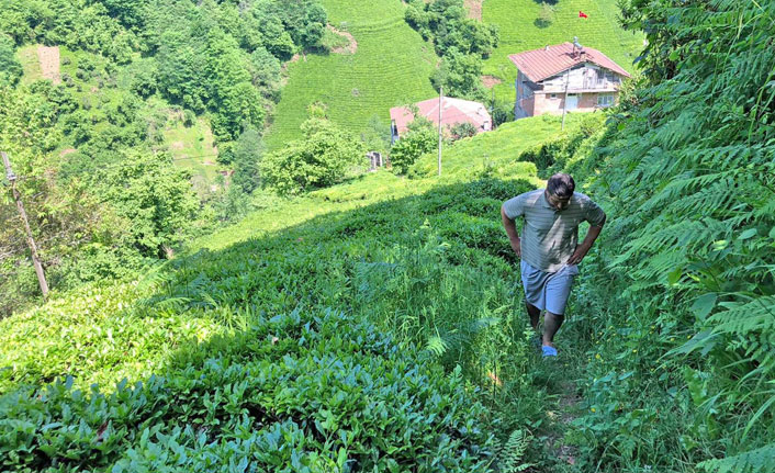 Rize’de bir köyün yol çilesi