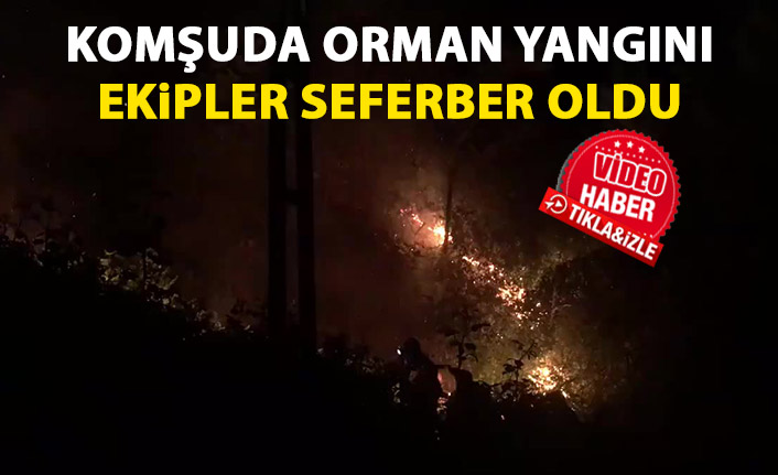 Komşuda orman yangını! Ekipler seferber oldu