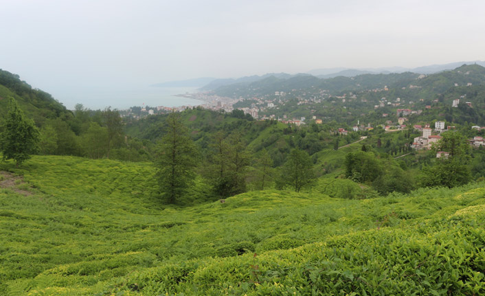 Rize'de tedbirler üst seviyede! 20 Bin kişi gelecek