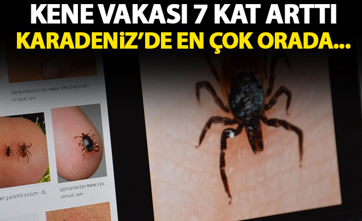 Korkutan açıklama! Kene vakaları 7 kat arttı