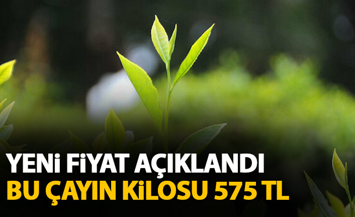 Beyaz çayın kilogram fiyatı belli oldu