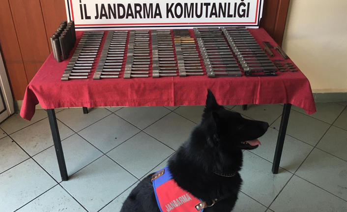 Rize'de baskın! Dedektör köpekten kaçamadılar