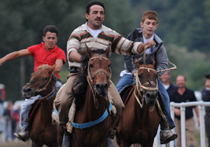 Yeni kabus "at gribi"