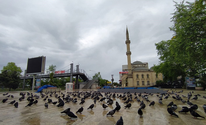 Akçaabat'ta meydan güvercinlere kaldı