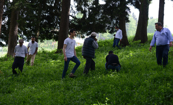 Trabzonlular 'gök taşı' aradı