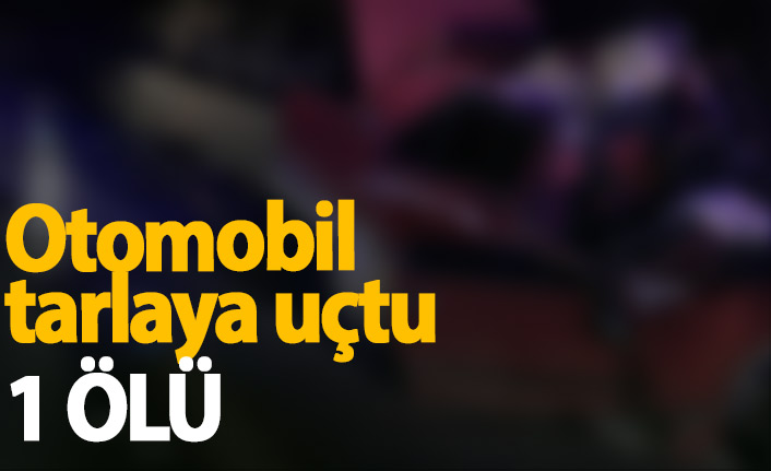 Otomobil tarlaya uçtu: 1 ölü