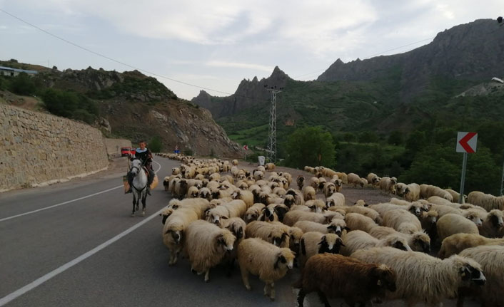 Yaylacılar göç için haziran ayına kaldı