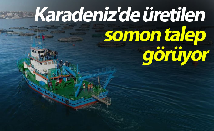 Karadeniz'de üretilen somon talep görüyor