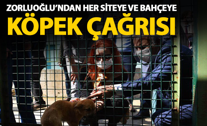 Zorluoğlu'ndan çağrı: Her siteye bir köpek