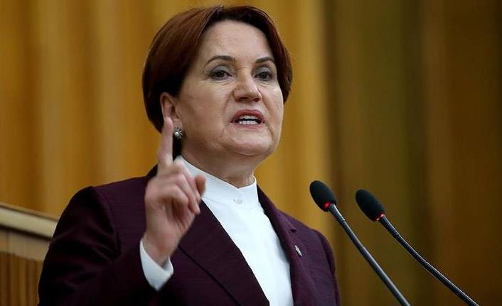 Akşener: "Türkiye’nin tarımda küresel oyuncu olabilecek potansiyeli var"