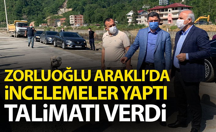 Zorluoğlu Araklı'da incelemelerde bulundu