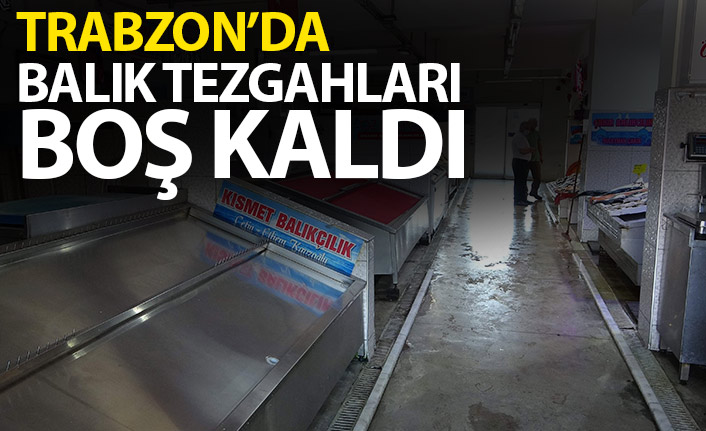 Trabzon’da balıkçı tezgahları boş kaldı