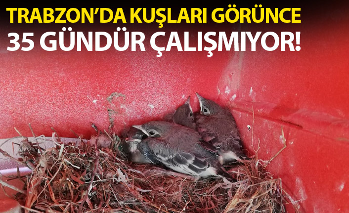 Kuşların yuva yaptığı beton mikseri 35 gündür çalışmıyor