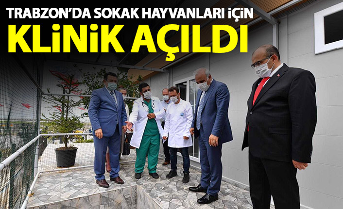 Trabzon'da sokak hayvanlarının için yapılan klinik açıldı