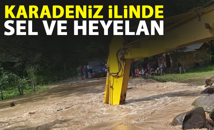 Karadeniz ilinde yağmur sonrası sel ve heyelan