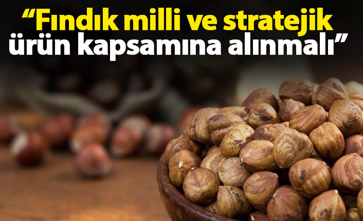 Fındık milli ve stratejik ürün kapsamına alınmalı