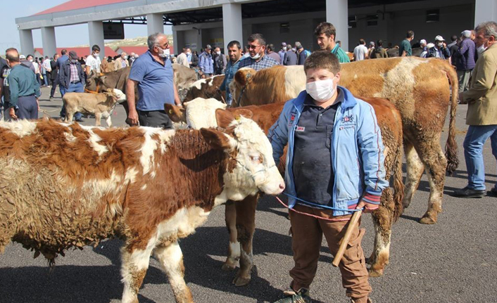 Bayburt'ta Kurban tedbirleri açıklandı