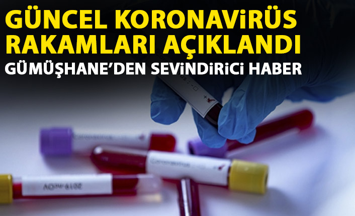 Günün koronavirüs rakamları açıklandı! Gümüşhane için sevindirici haber!