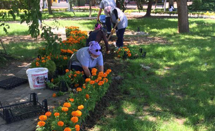 Ordu'da ortak kullanım alanları temizlendi