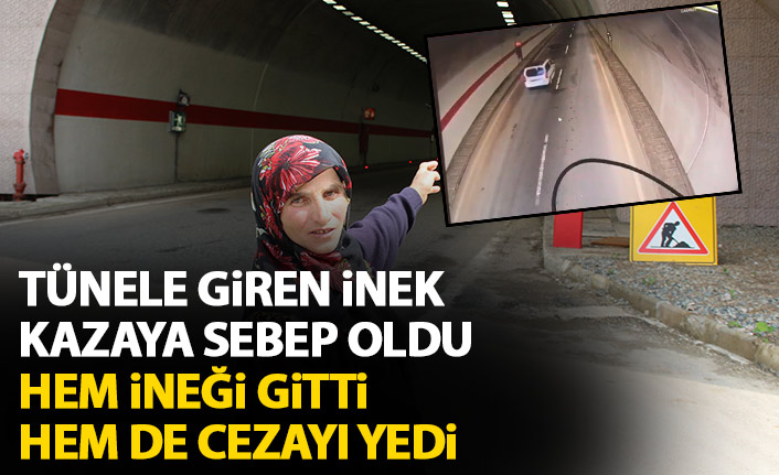 Hem ineğinden oldu hem de cezayı yedi