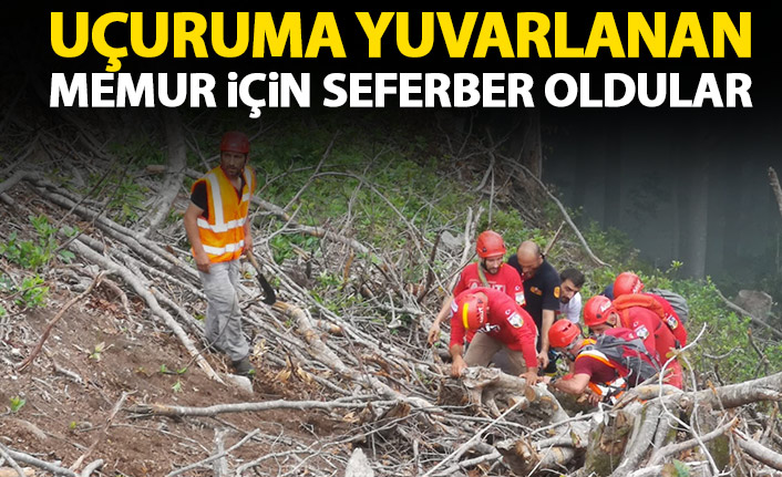 Artvin'de uçuruma yuvarlanan memur yaralandı