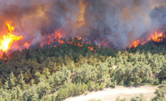 Çanakkale’de orman yangını