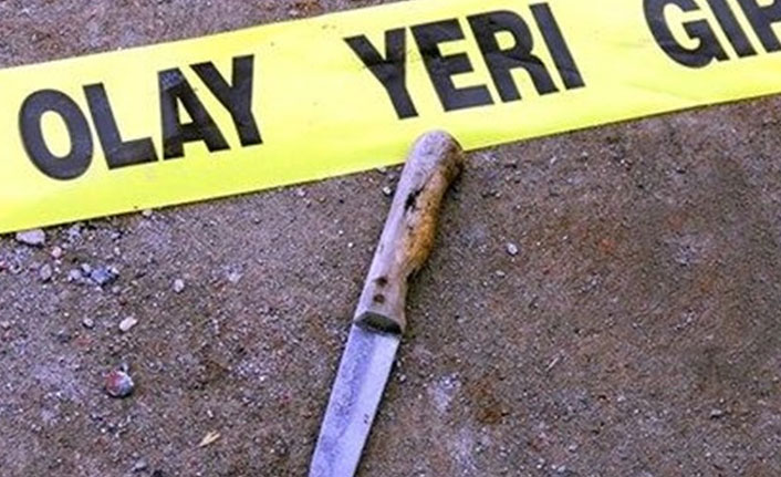 Ordu'da bıçaklı kavga