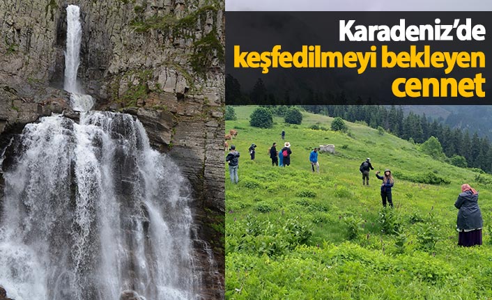 Artvin’de keşfedilmeyi bekleyen şelale