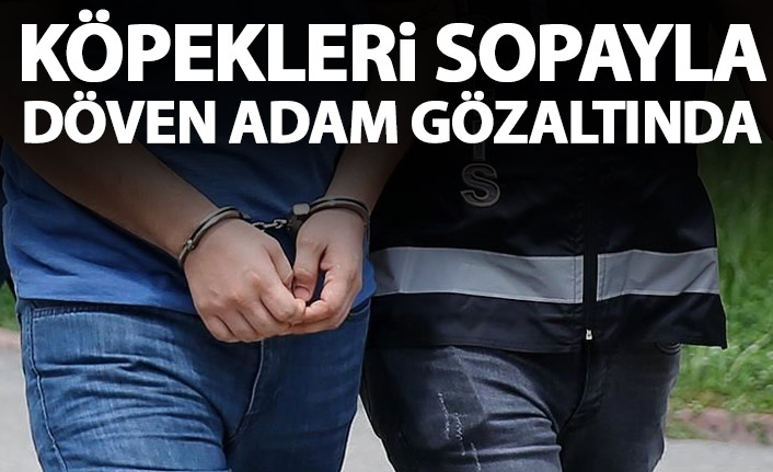 Köpekleri döven adam kelepçelenerek gözaltına alındı