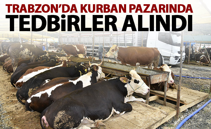 Trabzon'da kurban merkezlerinde her şey düşünüldü!