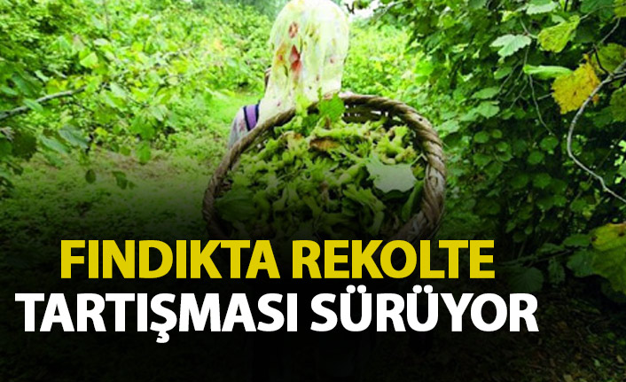 Fındıkta rekolte tartışması sürüyor