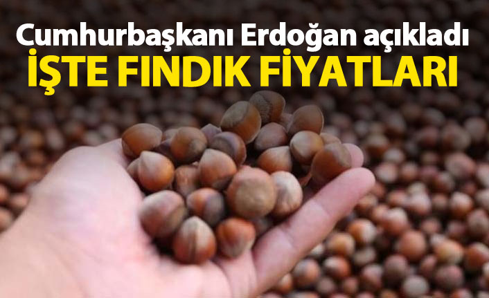 Son Dakika! Cumhurbaşkanı Erdoğan fındık fiyatını açıkladı