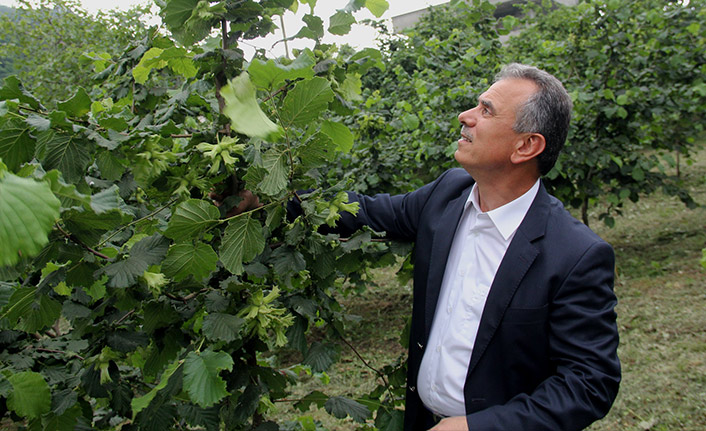 TTB Başkanı Ergan; “Üretimi teşvik edici bir fiyat”