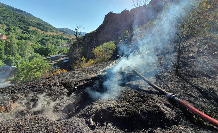 Otlar tutuştu, çok sayıda bahçe küle döndü