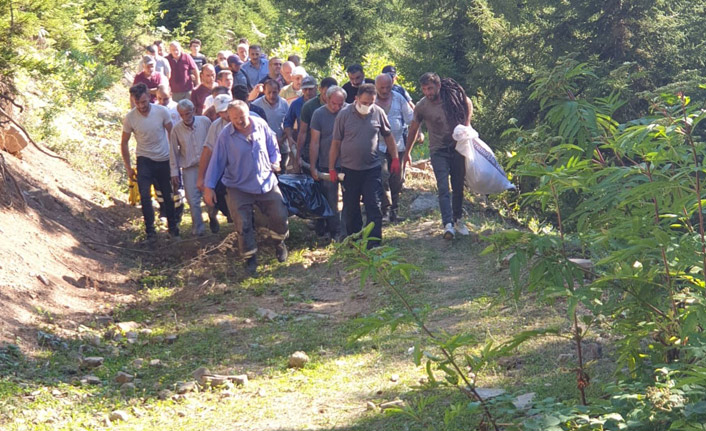 Artvin'de acı olay! Uçuruma yuvarlandı