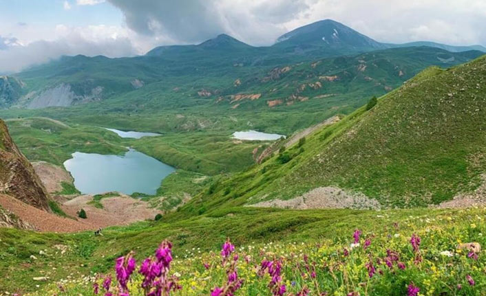 Arsiyan Yaylası doğaseverleri ağırlıyor