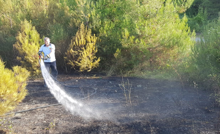 Yakakent Çam Gölü'nde yangın