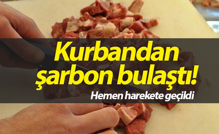 Kurbandan şarbon bulaştı!