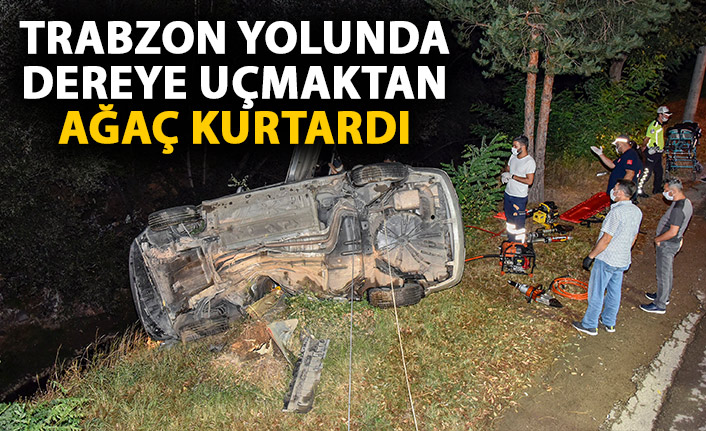 Trabzon yolunda dereye uçmaktan ağaç kurtardı