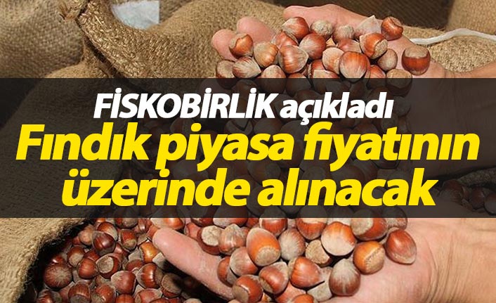 FİSKOBİRLİK'ten fındık fiyatı kararı! 50 kuruş daha fazla