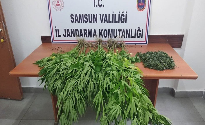 7 kilo kubar esrar ele geçirildi