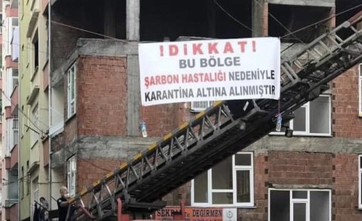 Trabzon'da şarbon karantinası!