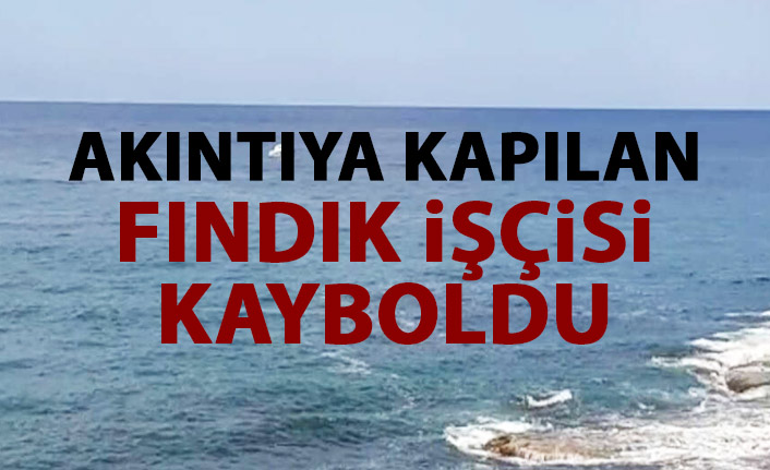 Akıntıya kapılan fındık işçisi kayboldu