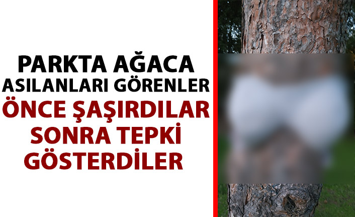 Ağaçlara asılanları görenler önce şaşırdı sonra tepki gösterdi