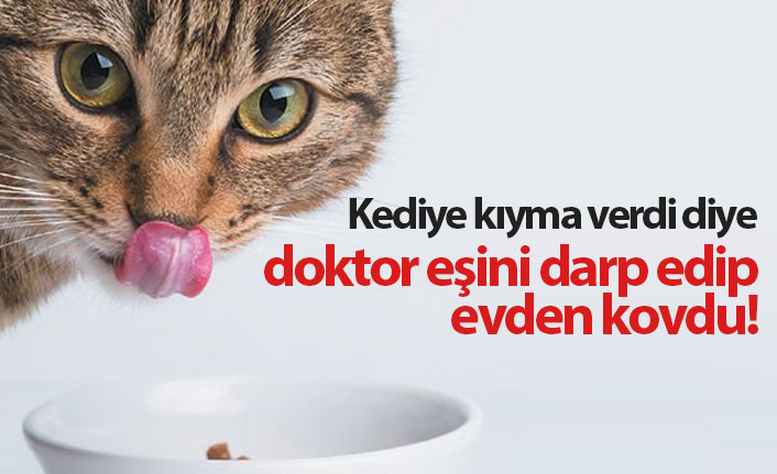 Kediye kıyma veren doktor eşini darp edip evden attı!