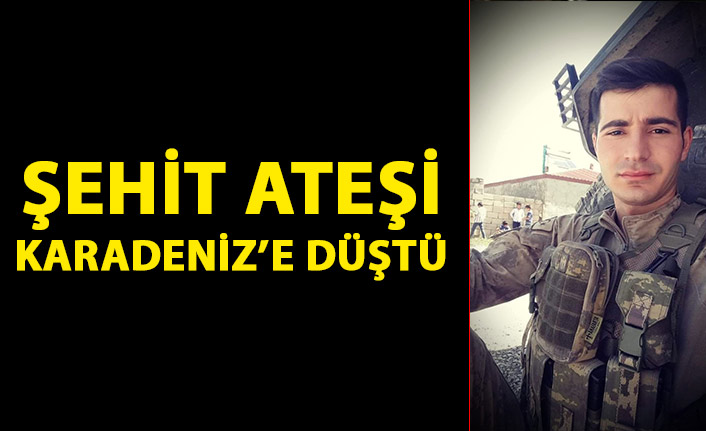 Şehit ateşi Karadeniz'e düştü!